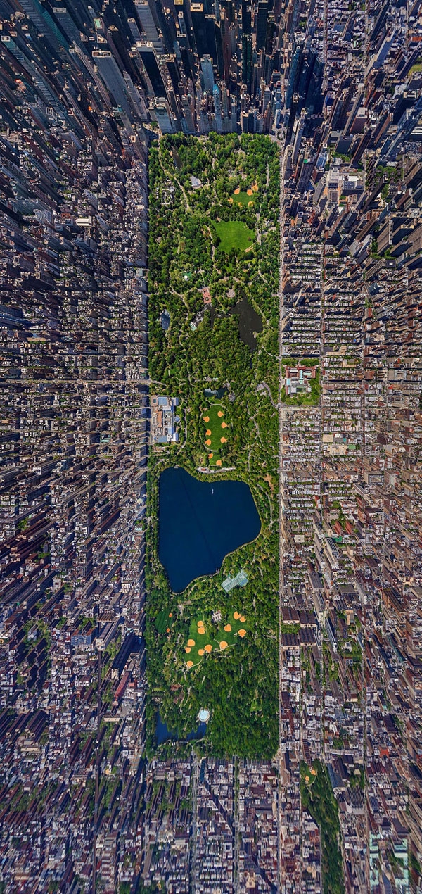 Central-Park,-New-York-City