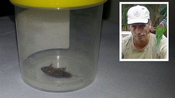 Doctor uses forceps to remove big cockroach from Darwin man's ear