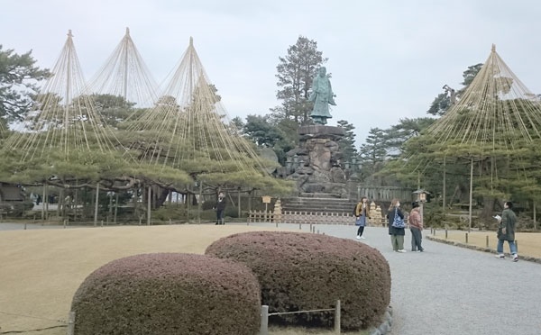 کنترل شکل رشد درختان ژاپن