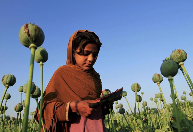 Afghan girl