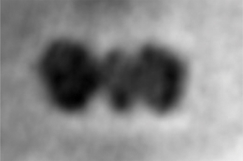 ثبت اولین تصویر از یک تک پروتئین