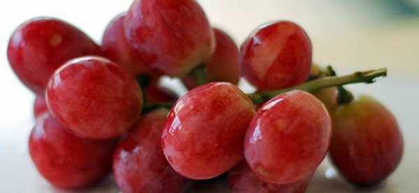 مصرف انگور قرمز ریسک ابتلا به آسم را کم می‌کند