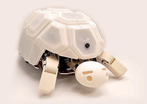 استفاده از ربات لاک‌پشت برای کمک به مهارت‌آموزی کودکان
