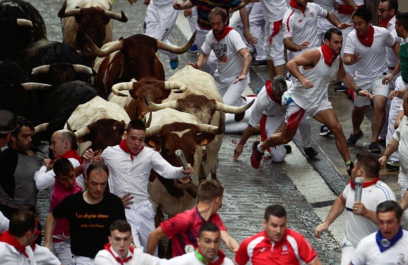 شاخ گاوهای خشمگین پنج تن را در اسپانیا زخمی کرد