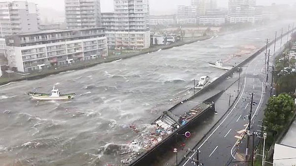 طوفان جبی ژاپن
