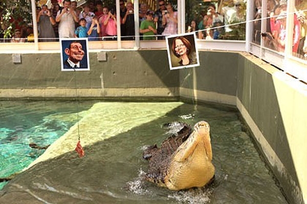Monster croc tips Gillard win