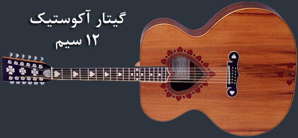 12 String Acoustic guitar: