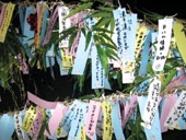 رشته پرنده‌های کاغذی با آرزوی سلامتی و عمر طولانی برای اعضای خانواده به بامبو آویزان می‌شود.