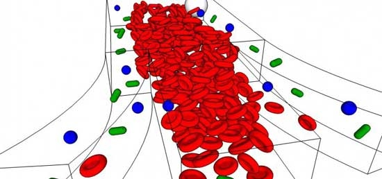 جداسازی آلودگی‌های باکتریایی از گلبول قرمز