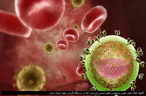 این تصویر نشان دهنده گلبولهای قرمز خونی و ویروس نقض ایمنی انسانی است که در دستگاه گردش خون جریان دارند
