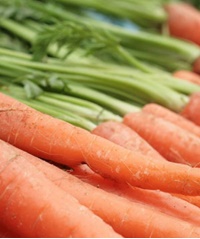 آشنایی با ویتامین A