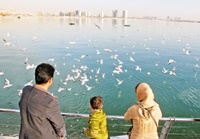 مهاجران دریاچه زیاد شدند