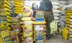 آغاز توزیع ۳۵ هزار تن برنج و شکر ارزان در فروشگاه‌های زنجیره‌ای