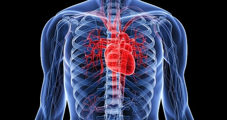 آشنایی با روش‌های اندازه‌گیری ریتم قلب‌