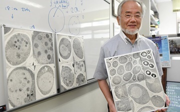 دانشمند ژاپنی برنده نوبل پزشکی شد