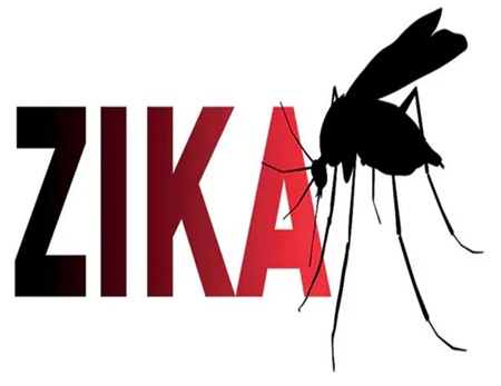 برزیل | ترس از زیکا 