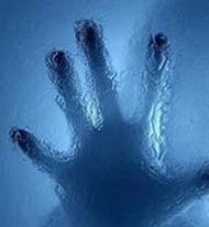 معمای قتل یک زن در پایتخت 