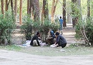 وجود ۱۲ هزار معتاد رها شده در تهران 