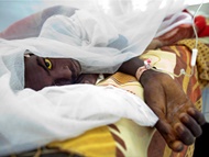 کنگو همه‌گیری تب زرد اعلام می‌کند