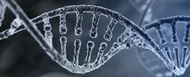 اصلاح ژنتیکی انسان  با اهداف مطالعاتی در آمریکا مجاز شد