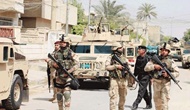 دستگیری یک هزار و ۵۰۰ تروریست داعشی در فلوجه
