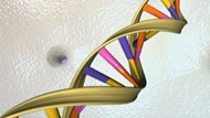 طرح‌ بلند‌ پروازانه برای ساخت ژنوم انسان