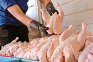 عرضه مرغ دولتی برای شکستن قیمت‌ گوشت مرغ در بازار