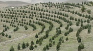 تقدیر سازمان جنگل‌ها از گسترش کمربند سبز تهران