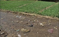 دسترسی کشاورزان به آب آلوده مسدود می‌شود