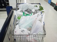 ایرانی‌ها روزی ۴۵ میلیون کیسه پلاستیکی مصرف می‌کنند