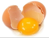 زرده تخم مرغ خوب است؟
