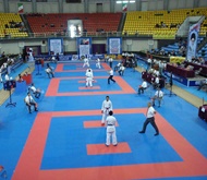 کاراته ایران در دوازدهمین دوره جام وحدت و دوستی قهرمان شد