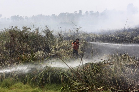 تخمین مرگ ۱۰۰ هزار نفر به علت مه‌دود سال پیش در اندونزی
