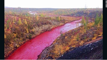 رودخانه‌ای در روسیه خونین شد