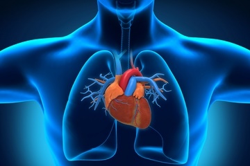 بیماران قلبی روزانه بیش از یک لیتر مایعات مصرف نکنند