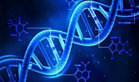 ارائه نسل جدیدی از توالی‌یابی‌های DNA از سوی محققان کشور