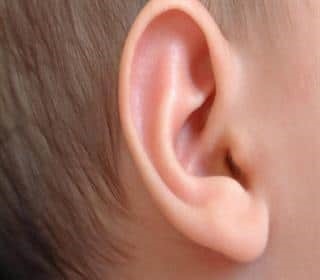  جرم گوش سلامت گوش را حفظ می‌کند