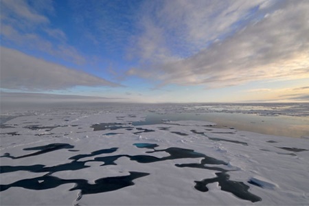 تهدید زندگی موجودات دریایی با ذوب شدن یخ‌های گرینلند
