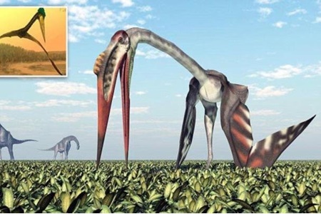 کشف فسیل پرنده عظیم ۷۰ میلیون ساله در مغولستان