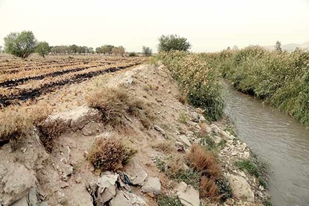 مزارعی که با آب آلوده آبیاری می‌شوند ، تخریب می‌شود