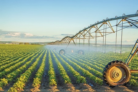 فناوری؛ راه استفاده از فاضلاب در کشاورزی