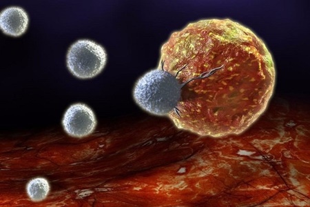 شناسایی پروتئین قاتل تومورهای سرطانی