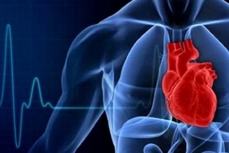 بیماران قلبی مجرد در معرض ریسک بالای مرگ قرار دارند