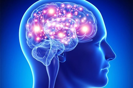 سن مغز می‌تواند مرگ را پیش‌بینی کند