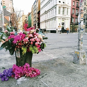 استفاده از پسماند گل‌ها در شهر