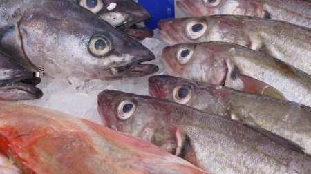 مصرف ماهی سرطانزا در تایلند