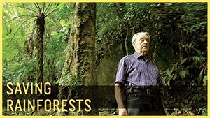 ۴۰ سال تلاش برای حفظ جنگل