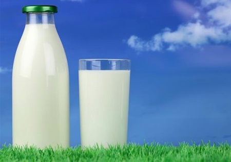 شیر کم چرب یا شیر کامل و پرچرب؛ کدام بهتر است؟