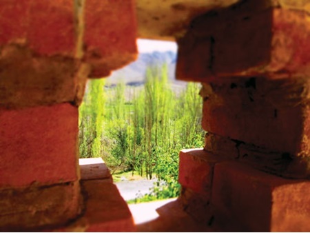 خانه ای در کویر خانه ای در کویر