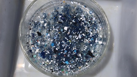 کشف توده عظیم پلاستیک در اقیانوس آرام